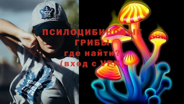 дурь Абаза